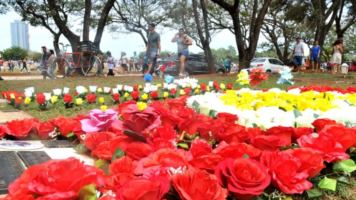 Chandigarh Rose Festival 2025
