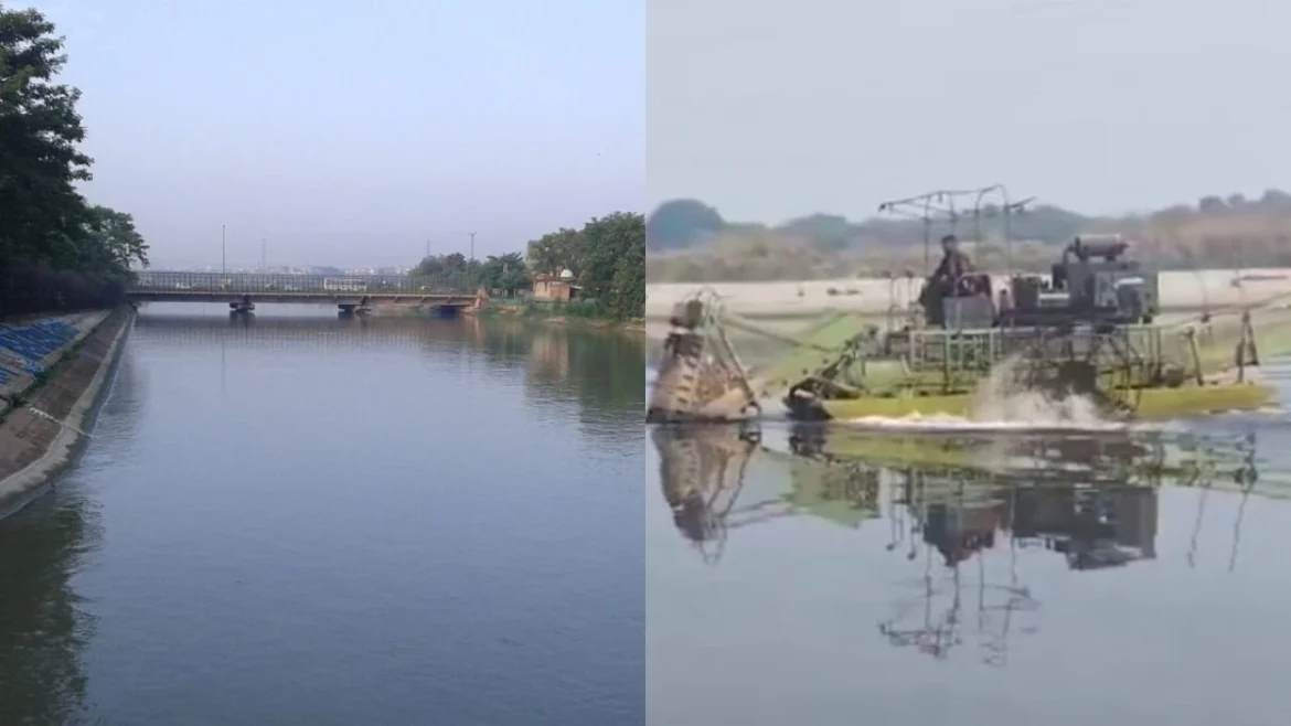 Yamuna River Cleaning drive