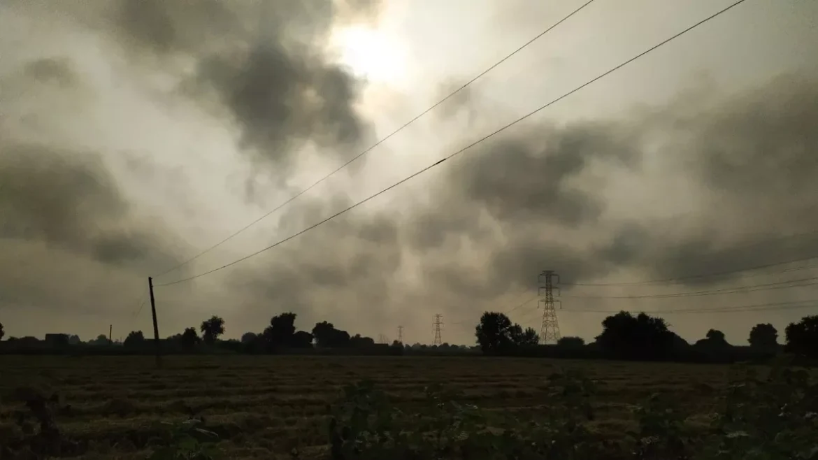 हरियाणा का मौसम, 3 मार्च 2025, हल्की धूप और गर्मी