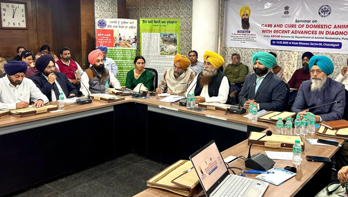 पंजाब में नि:शुल्क टेटनस टीकाकरण