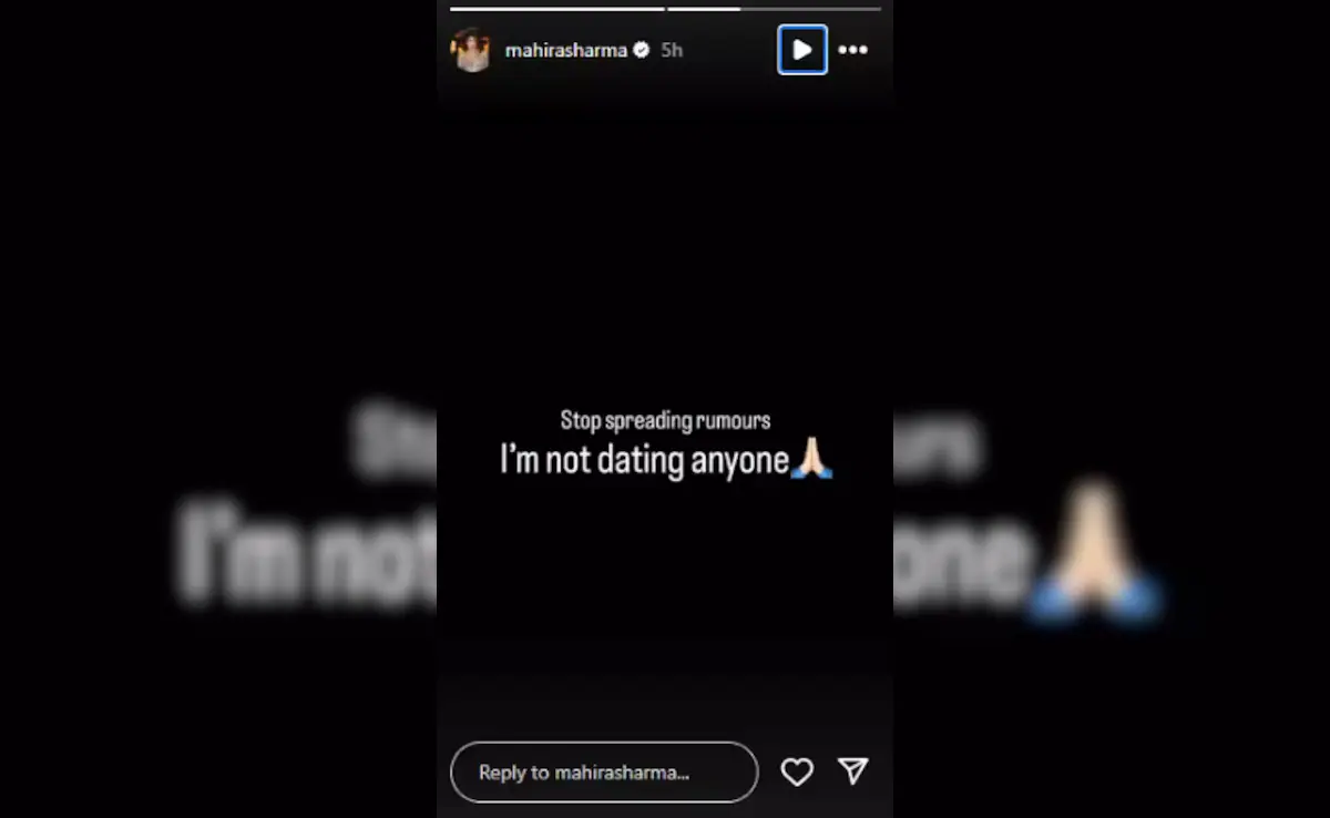 Mahira Sharma Instagram story regarding dating
