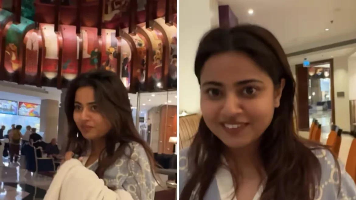 निशु तिवारी की स्टंट स्टोरी