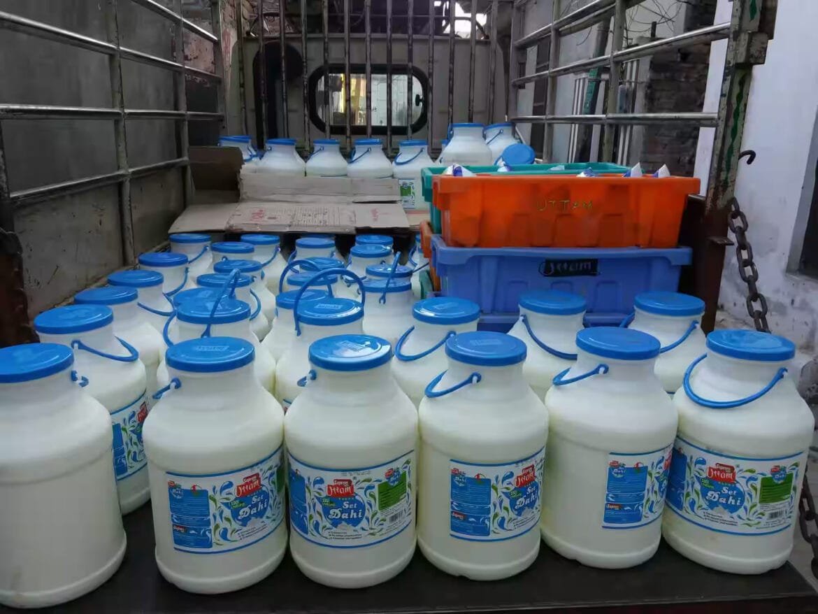 लुधियाना में नकली पनीर, मक्खन और दही की सप्लाई