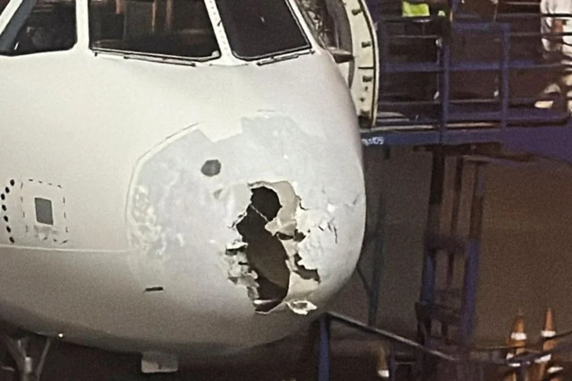 इंडिगो विमान