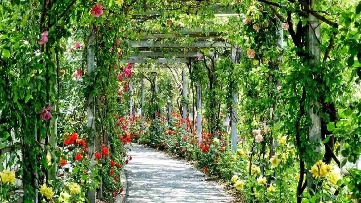 हरियाणा सरकार