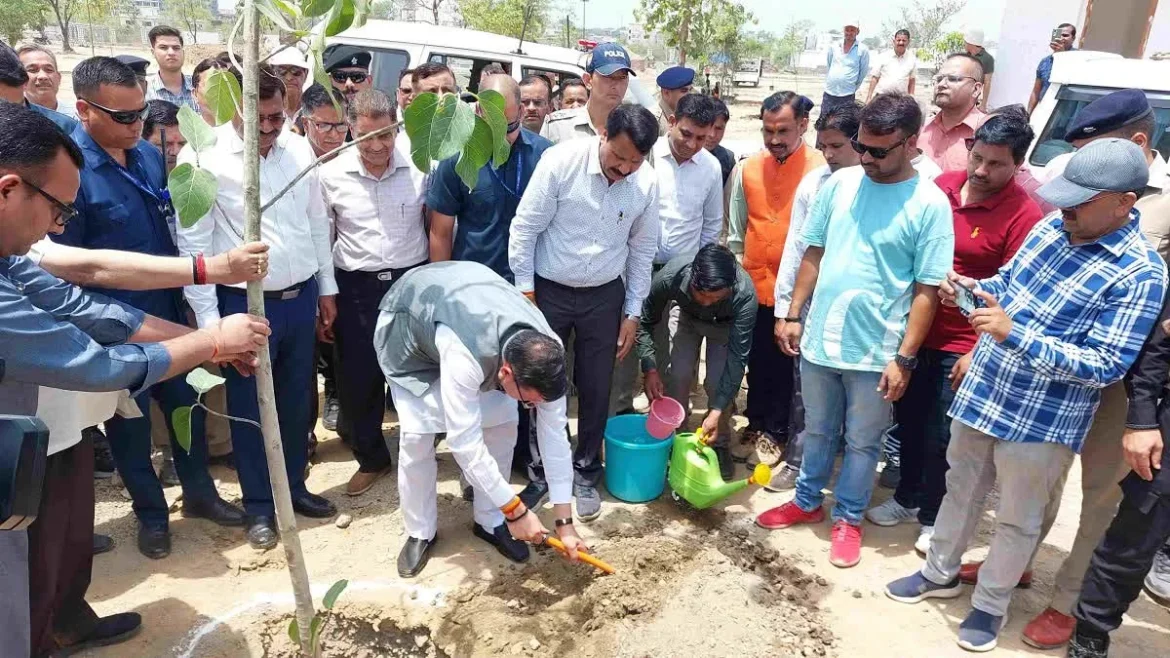 विश्व पर्यावरण दिवस