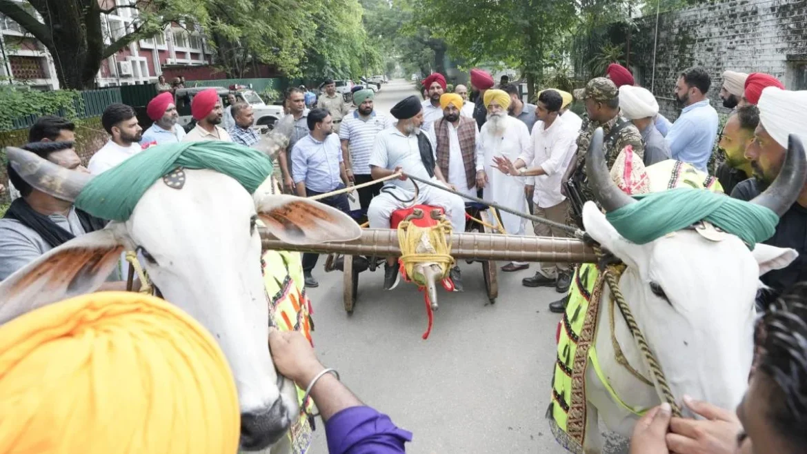 बैलगाड़ी दौड़