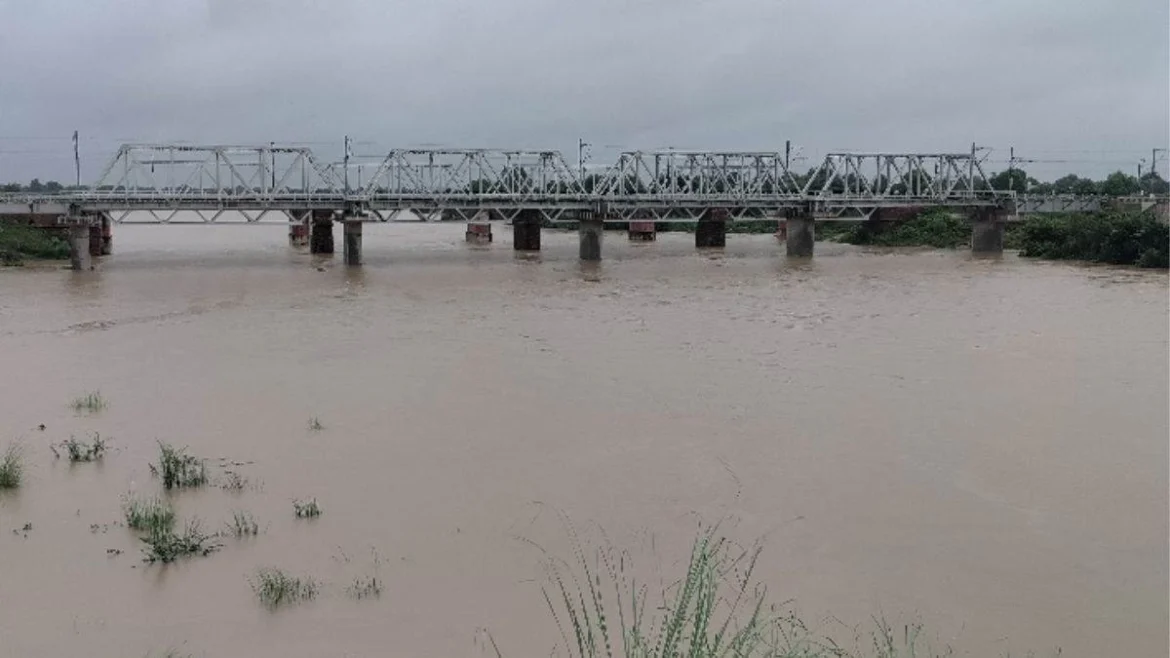 चंबल नदी