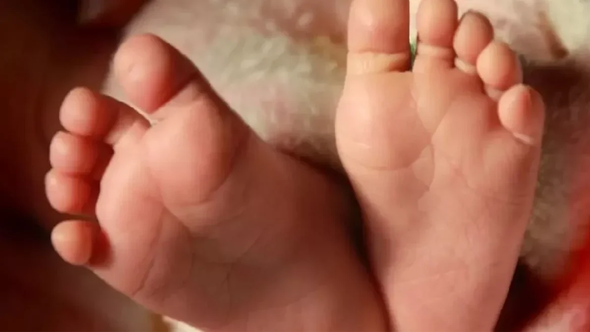 पानी टैंक