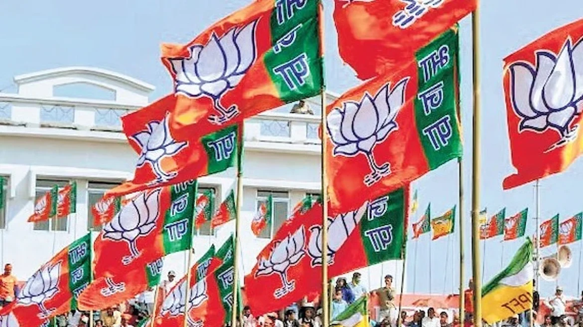 भाजपा अध्यक्ष