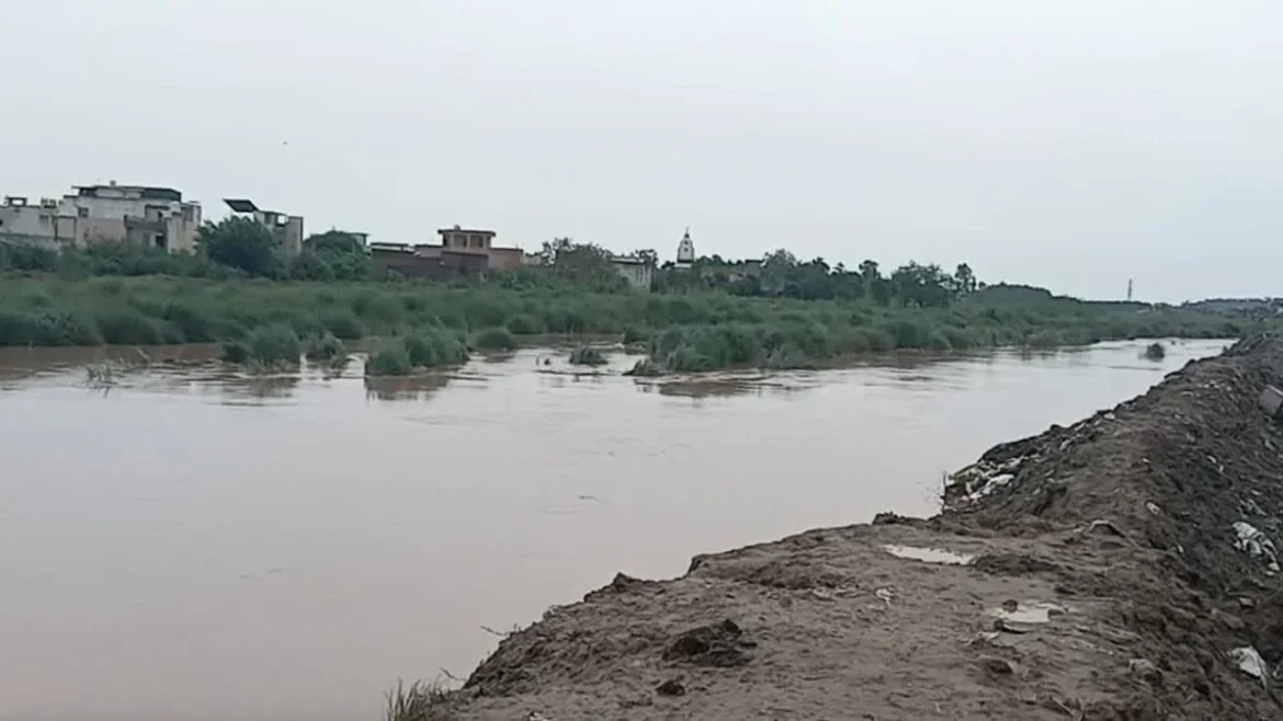 टांगरी नदी