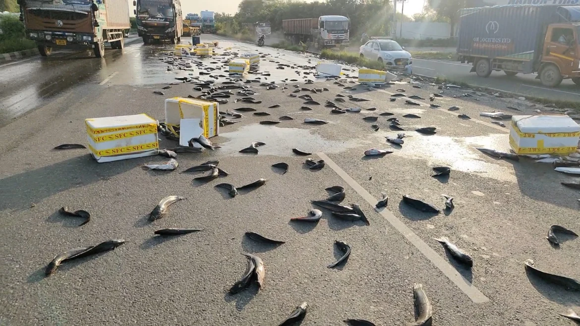 मछलियों पिकअप