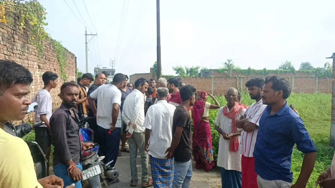 खंडहर शव