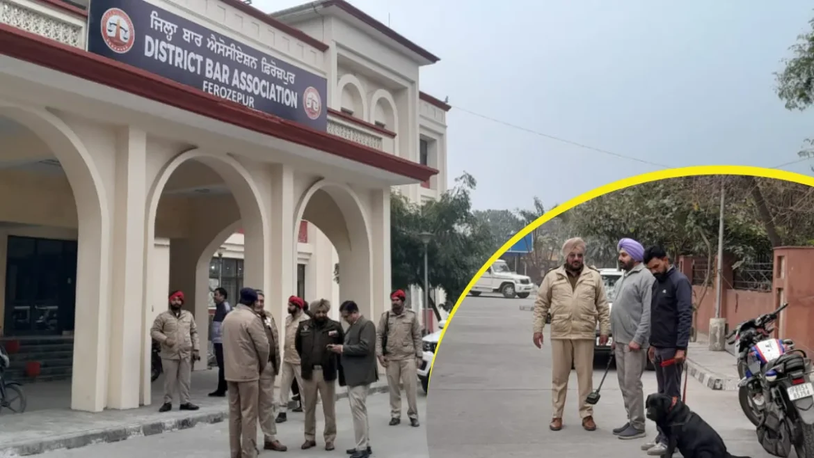 Ferozepur district court
