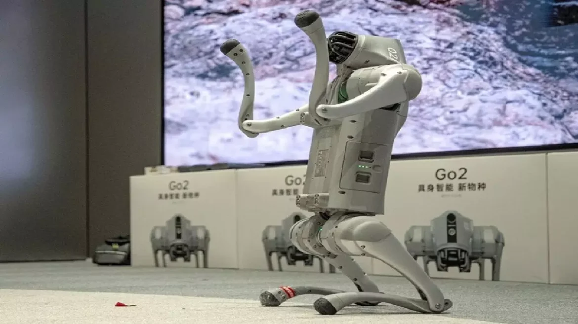 Galgotias University Robot