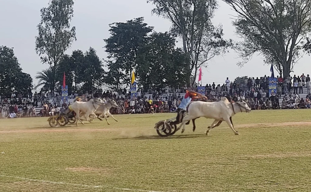 किला रायपुर ग्रामीण ओलंपिक