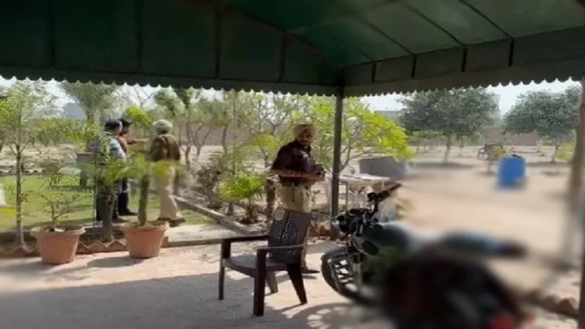 मानसा हत्या