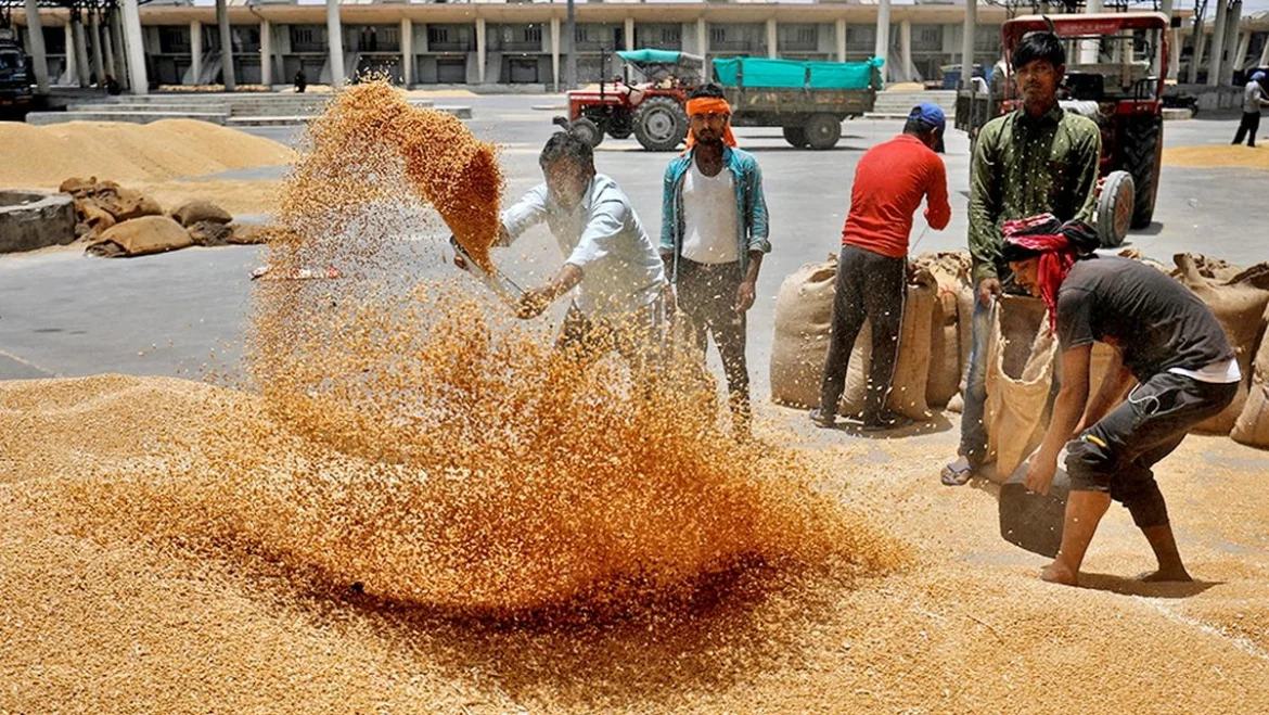 Wheat Procurement