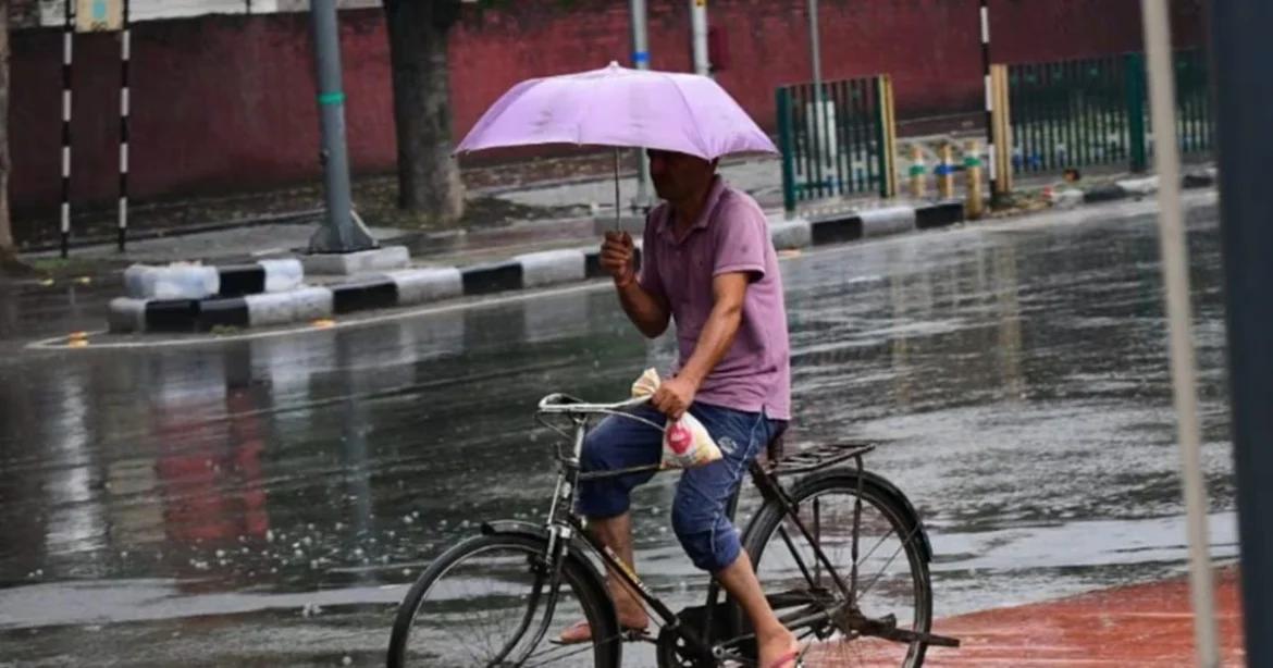 पंजाब चंडीगढ़ बारिश