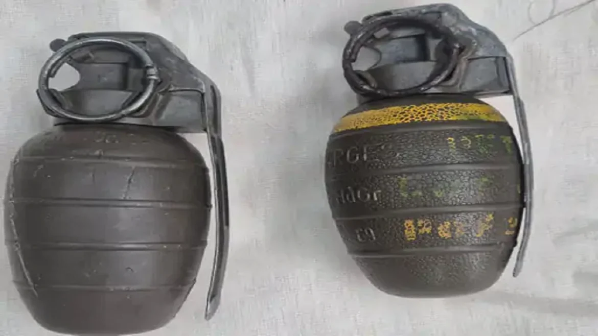 हैंड ग्रेनेड