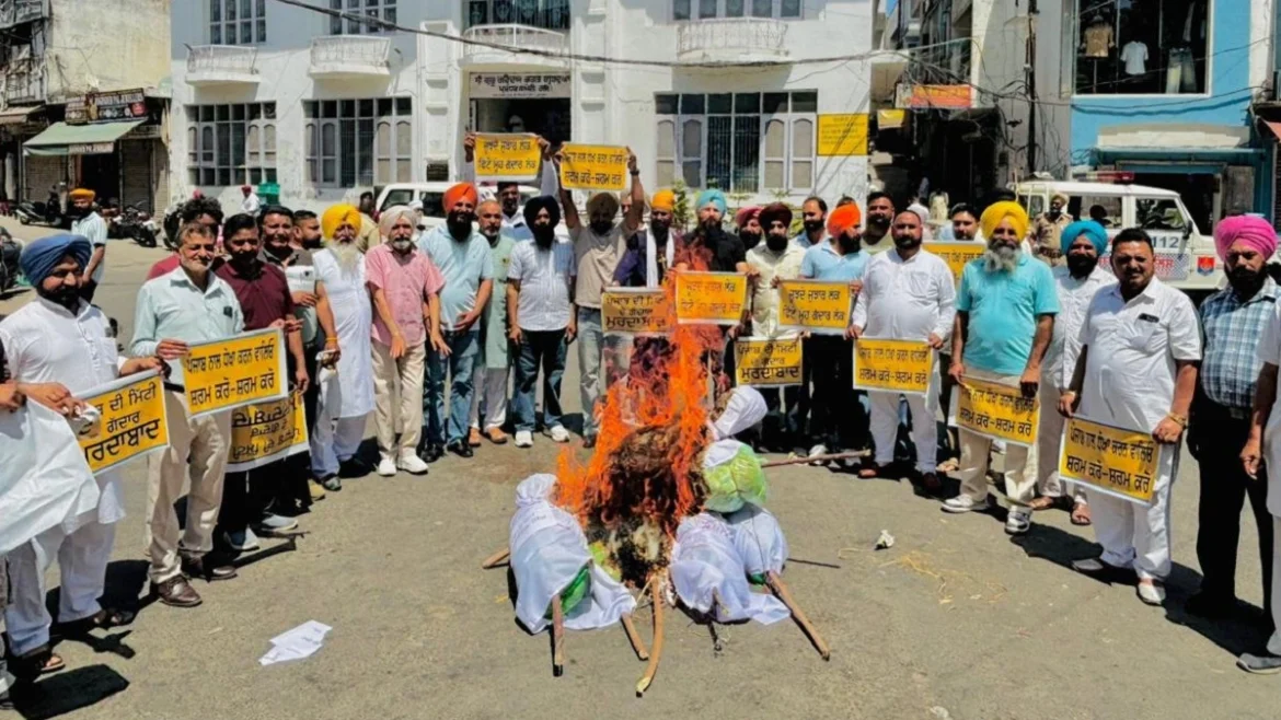 AAP प्रदर्शन