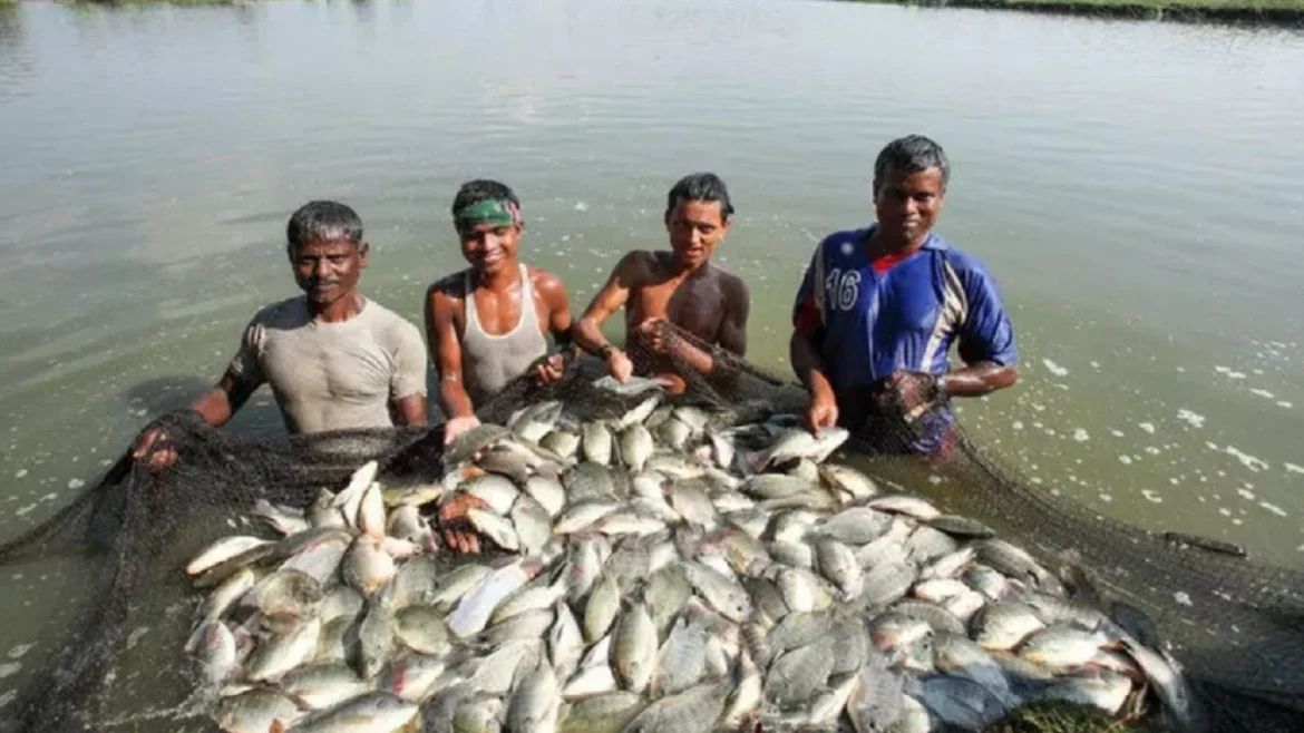 बिहार मछली उत्पादन