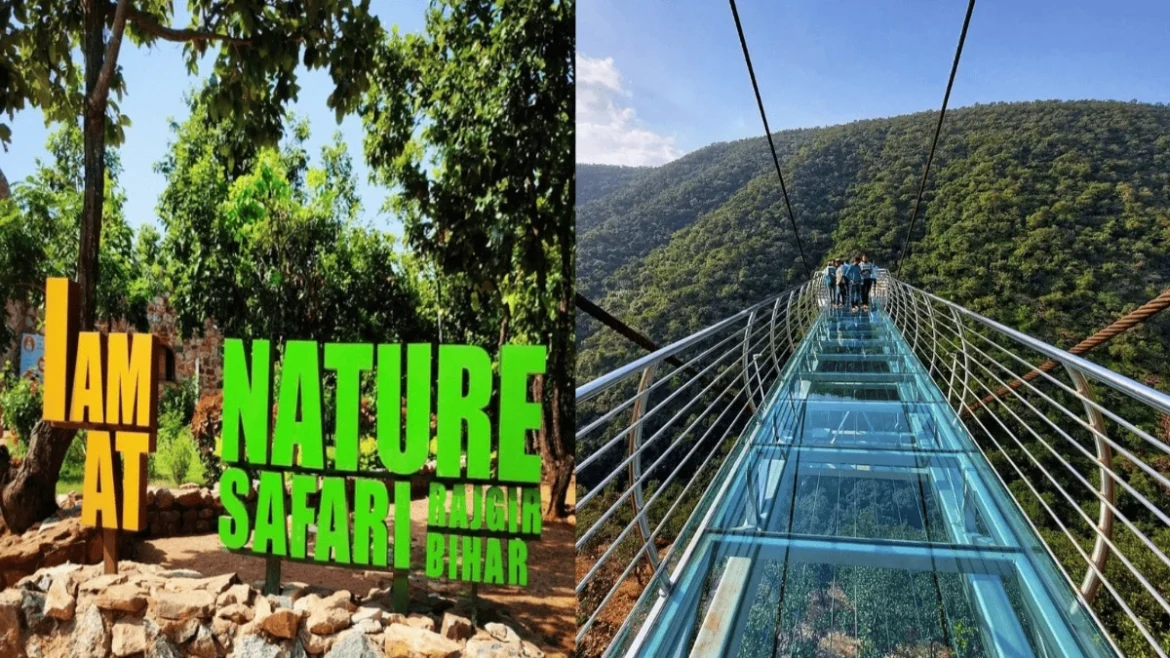 राजगीर जू सफारी