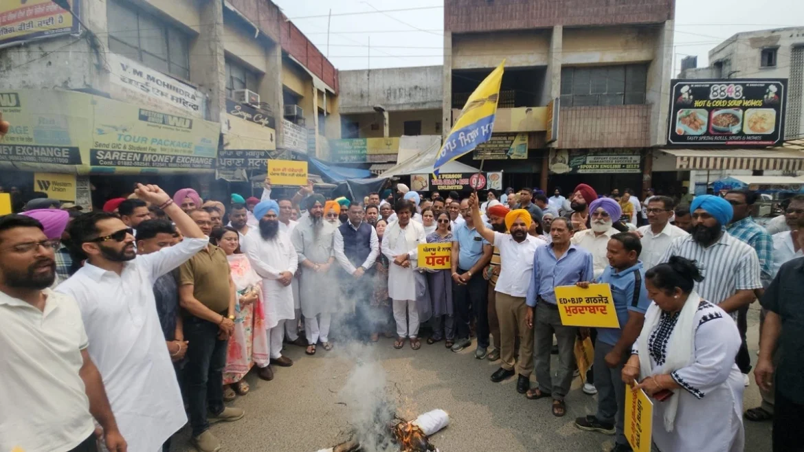 AAP पंजाब PROTEST