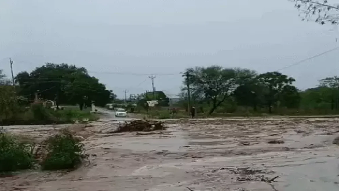 पंजाब चंडीगढ़ बारिश
