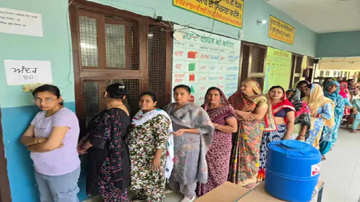 voting