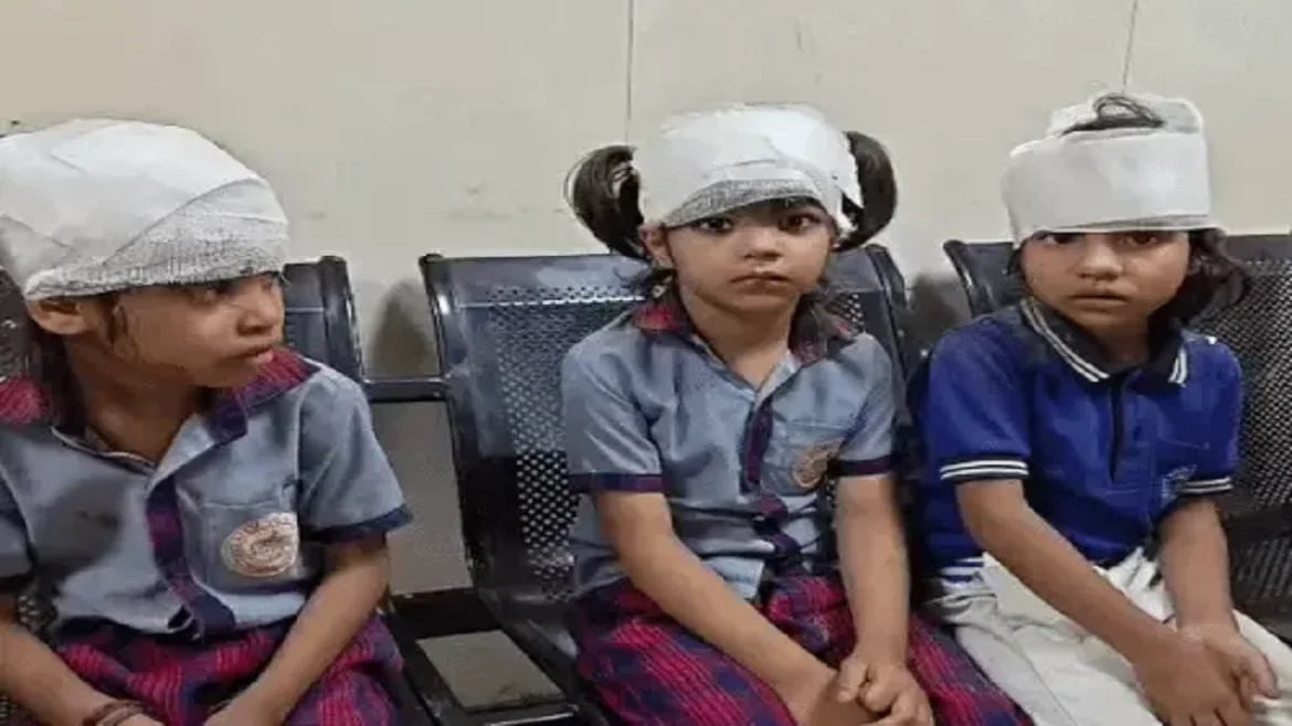 फरीदाबाद स्कूल हादसा
