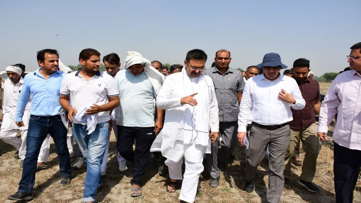 हरविन्द्र कल्याण