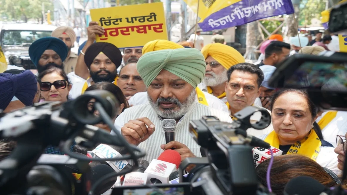 AAP protests