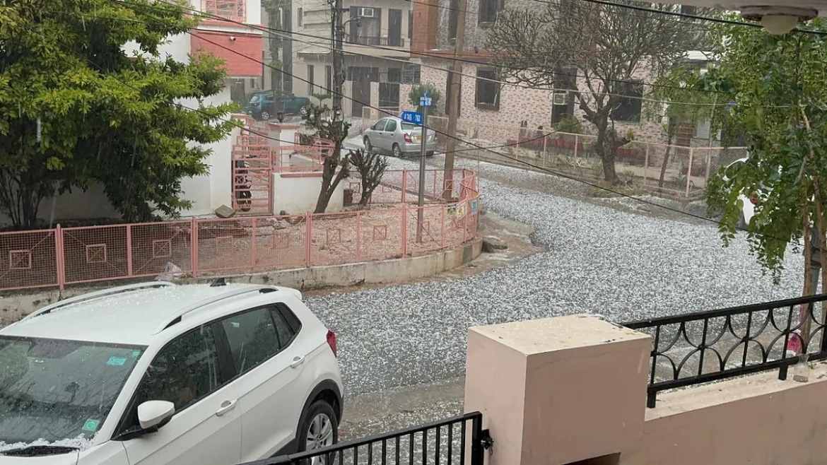 mohali rain