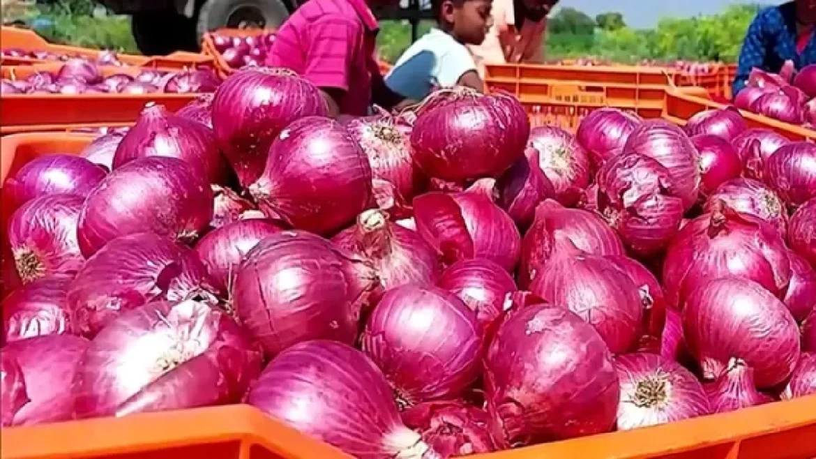 प्याज
