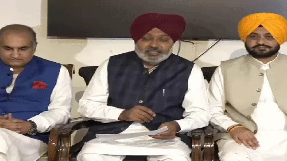 cheema aap