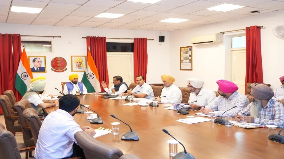 mann meeting