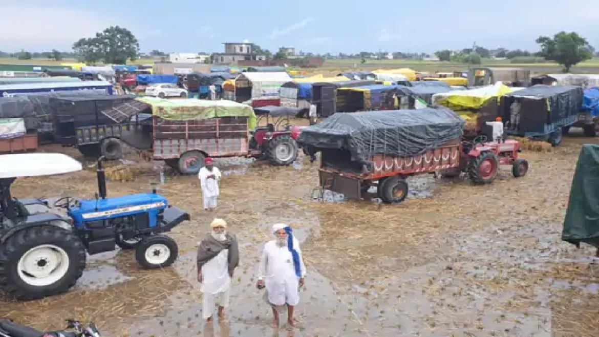 किसान मजदूर मोर्चा